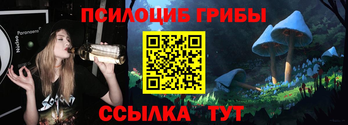 Галлюциногенные грибы Psilocybine cubensis Красноуфимск